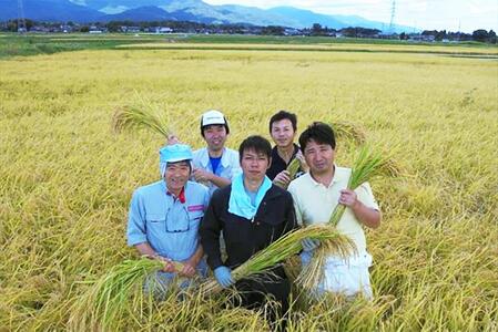 自社栽培米佐渡産こしひかり（玄米10kg）9カ月定期便