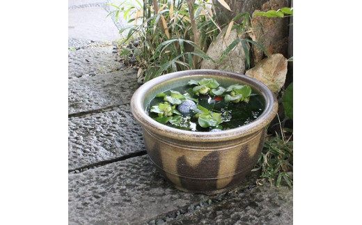 信楽焼 13号窯肌クシ目水鉢 睡蓮鉢 メダカ鉢
