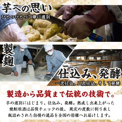 ふるさと納税 曽於市 岩川特選飲みくらべセット!900mlが5本届く! |  | 03