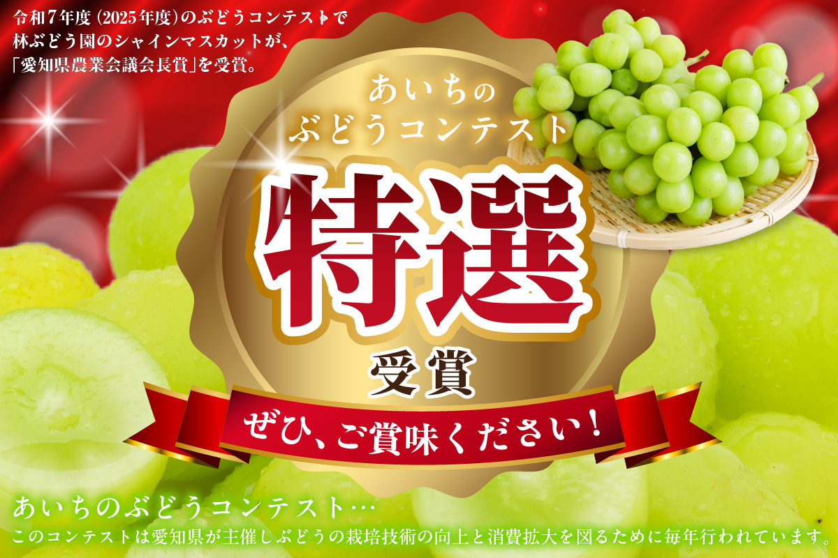 【先行予約】【2026年8月発送】東浦町産 種なし巨峰とシャインマスカット(約1kg)｜ぶどう 葡萄 ブドウ 巨峰 グレープ 種なし シャインマスカット マスカット 受領歴 贈答 贈り物 果物 新鮮 