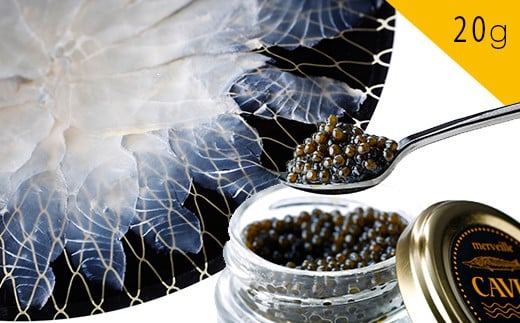 【純国産宮崎キャビア】メルベイユキャビア20g　しゃぶしゃぶ用魚肉セット　