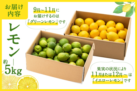 AA079.貴重な国産レモン.約5kg.新宮町産の逸品です／2026年9月～2027年2月発送予定