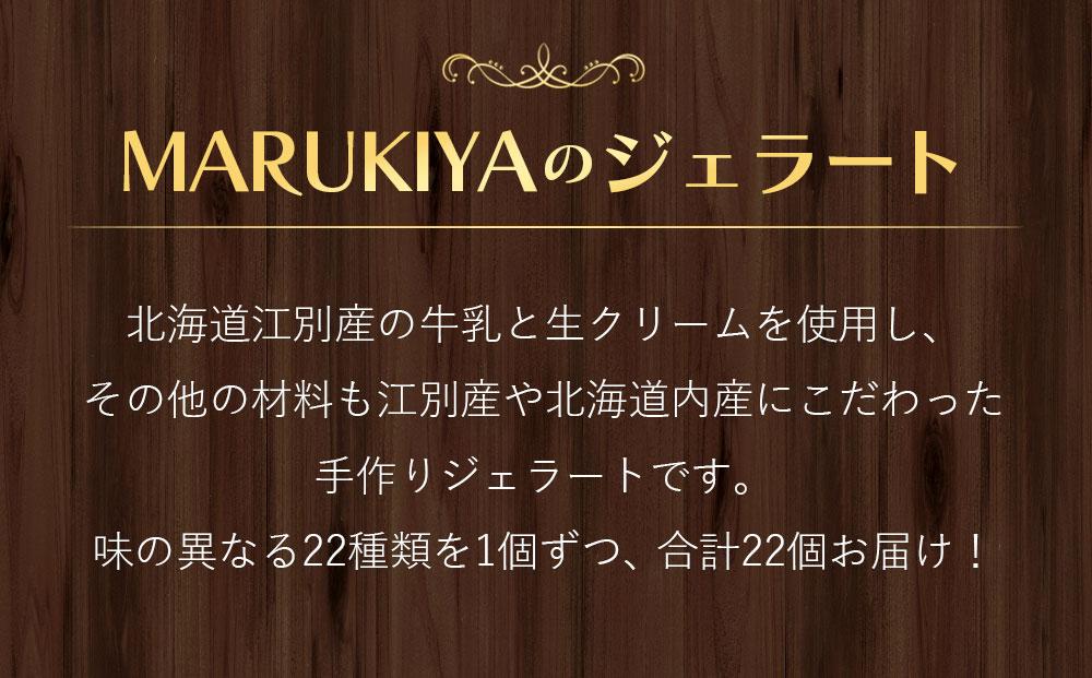 【合計　22個】ジェラートおまかせ　22種セット