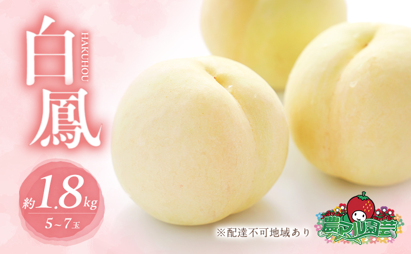 桃 2025年 先行予約 白桃 白鳳 約1.8kg 5～7玉 進物用 もも モモ フルーツ 果物 岡山 赤磐市産 農マル園芸 あかいわ農園
