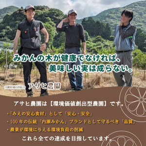 【不知火】 不知火 11～12個 アサヒ農園 【ASHN_002】