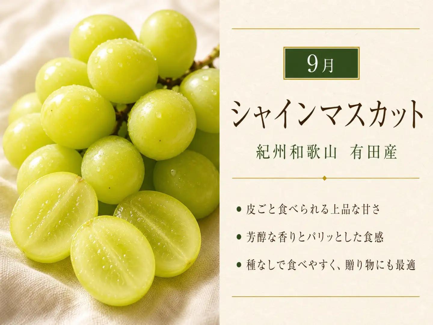 【8・9・12月 全3回】紀州和歌山産旬のフルーツセット（巨峰・シャインマスカット・みかん） 定期便