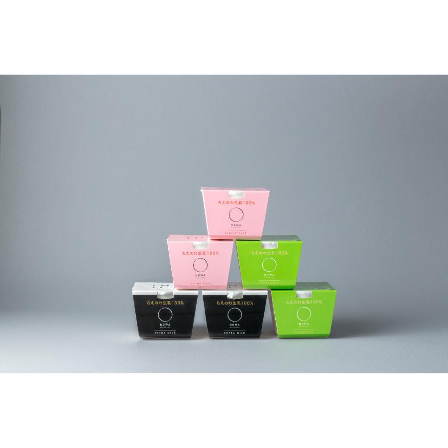 ＜NOWA＞THE ICE 3種ミックス 100ml×6個