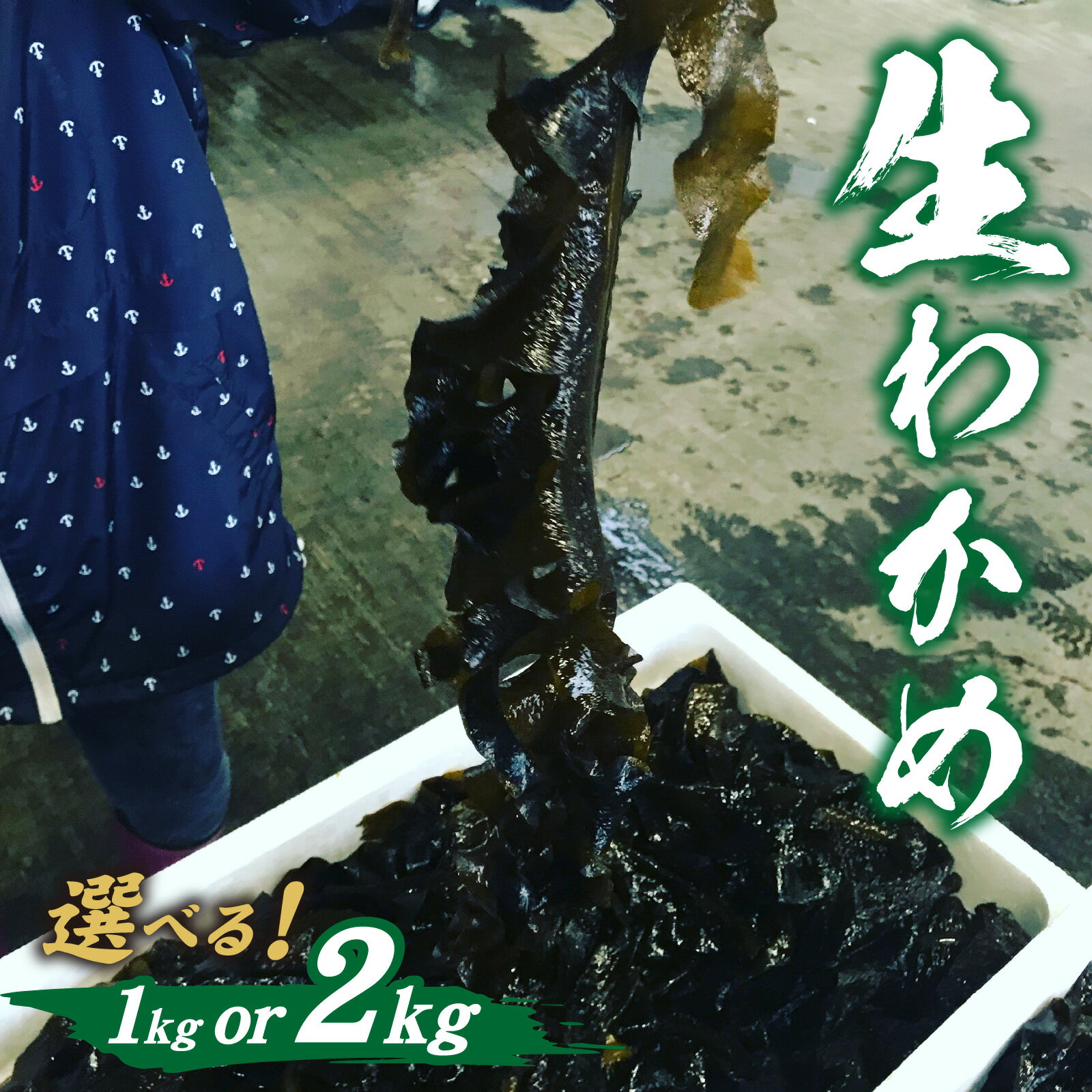 【ふるさと納税】【先行予約】【選べる容量】とれたて！！ 厳選生わかめ1.0kg 2.0kg【2026年4月上旬ごろ順次発送】| 新鮮 お造り 刺身 晩酌 食卓 BBQ 冷蔵 送料無料