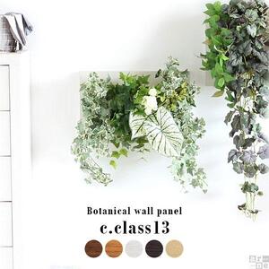 Botanical c.class 13　北欧チーク