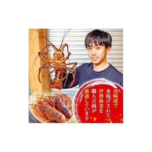 【 伊勢海老 】 伊勢海老700g以上