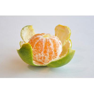 ふるさと納税 八幡浜市 八幡浜産「ひらたねなし柿3kg」「極早生温州みかん3kg」秋の果物よくばりセット【C56-52】 |  | 01