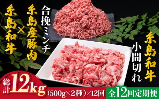 
                  【全12回定期便】糸島和牛小間切れ500g ＆ 糸島和牛糸島産豚合挽ミンチ 500g 合計1kg《糸島》【糸島ミートデリ工房】 [ACA239]
                