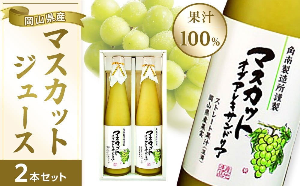
            岡山県産 マスカットジュース 2本 セット (500ml×2本)( マスカット・オブ・アレキドリア 果汁100％ )【 ジュース マスカット 葡萄 ぶどう セット 詰合せ フルーツジュース 瓶 ストレートジュース 逸品 おすすめ 岡山県 】
          