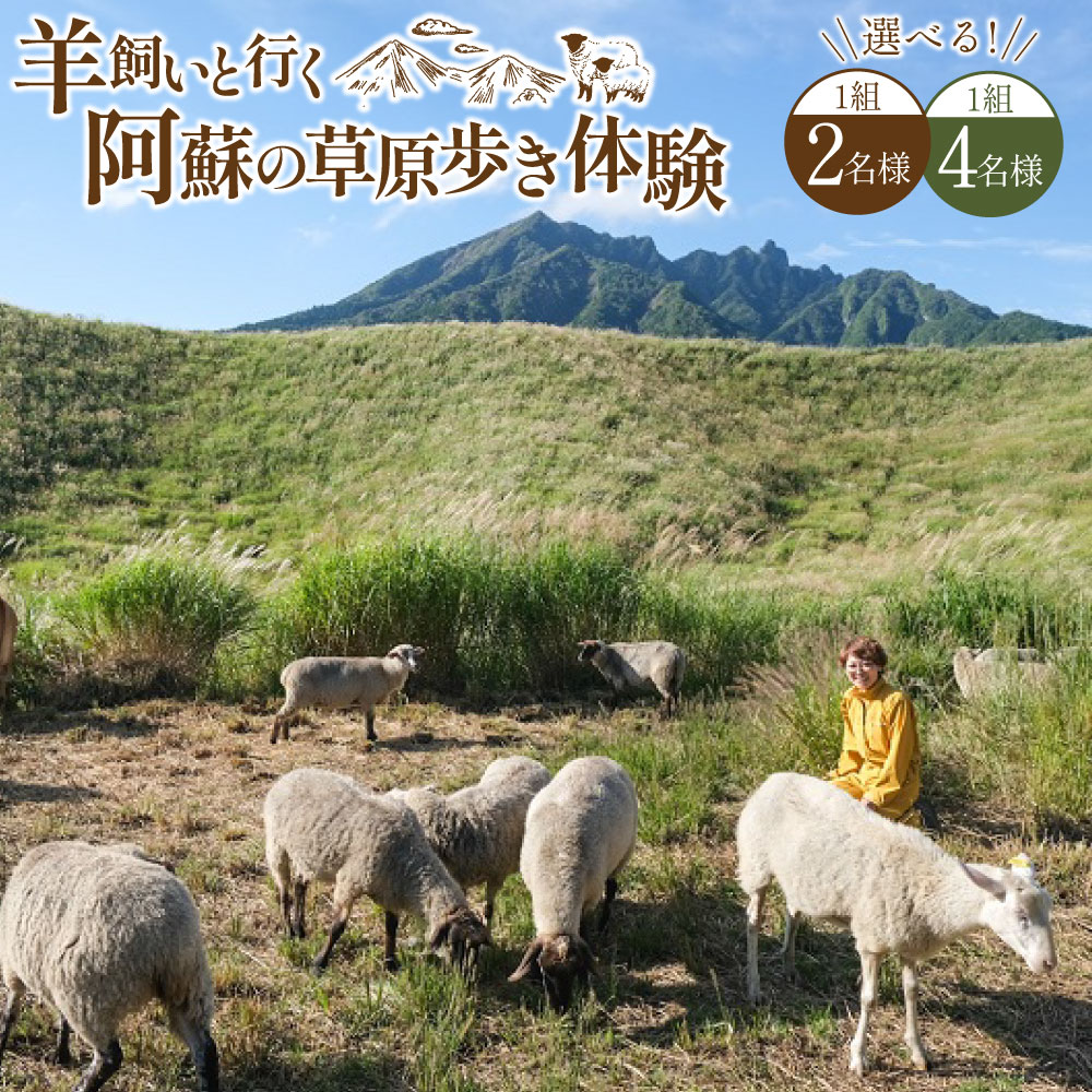 【ふるさと納税】＜選べる体験人数＞【体験期間6月1日～9月30日】羊飼いと行く阿蘇の草原歩き体験「私も羊もパートナー」 2名様1組 / 4名様1組 阿蘇さとう農園 ひつじ ヒツジ 草原歩き 羊肉 お肉 体験券 チケット 施設利用券 ギフト券 ペア グループ 九州 熊本県 送料無料