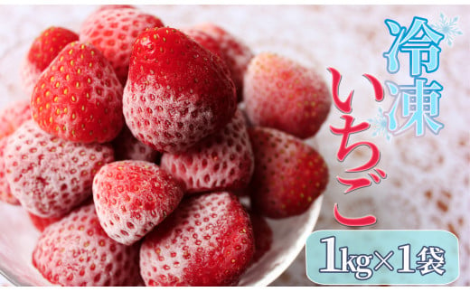 
【予約受付】冷凍イチゴ１kg（2020年第31回静岡県いちご果実品評会入賞）　【いちご 果物 フルーツ 苺 イチゴ 冷凍 果物 フローズン くだもの 大容量 静岡県産 期間限定】
