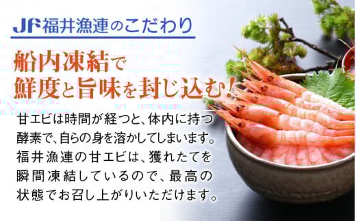 甘えび 特大サイズ60尾 1kg （500g × 2箱） 船内凍結 福井県沖から直送！鮮度と旨味に自信あり【 福井漁連 ブランド品 甘エビ あまえび 1キロ 】 [e12-b007]