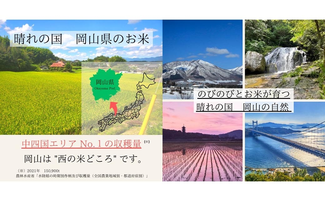岡山県産米にこまる10kg（5kg×2袋）