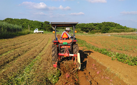 久米島産【沖夢紫】干し紅芋スティック6袋セット