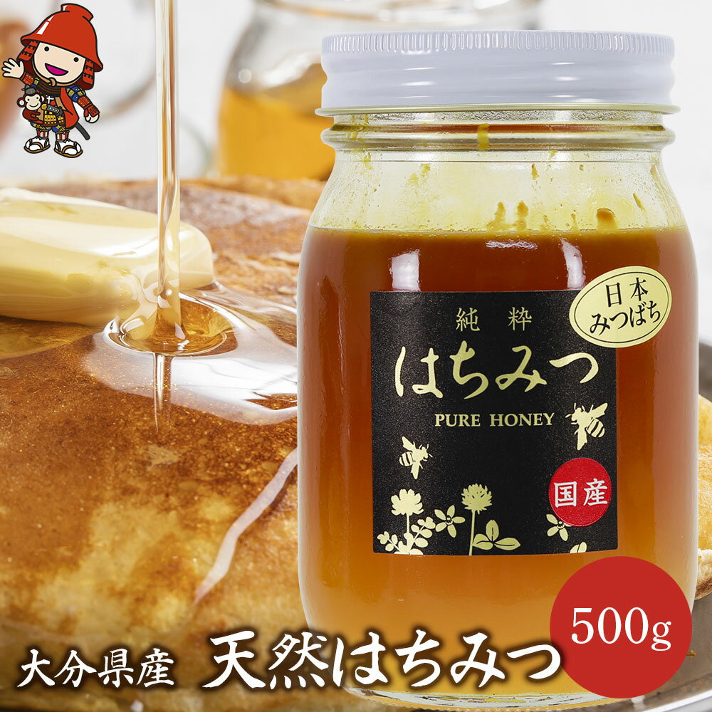 【ふるさと納税】天然はちみつ 500g （日本ミツバチ） ｜ 国産はちみつ 日本 蜂蜜 非加熱 はちみつ ハチミツ 百花蜂蜜 大分県産 九州産 中津市 国産 送料無料