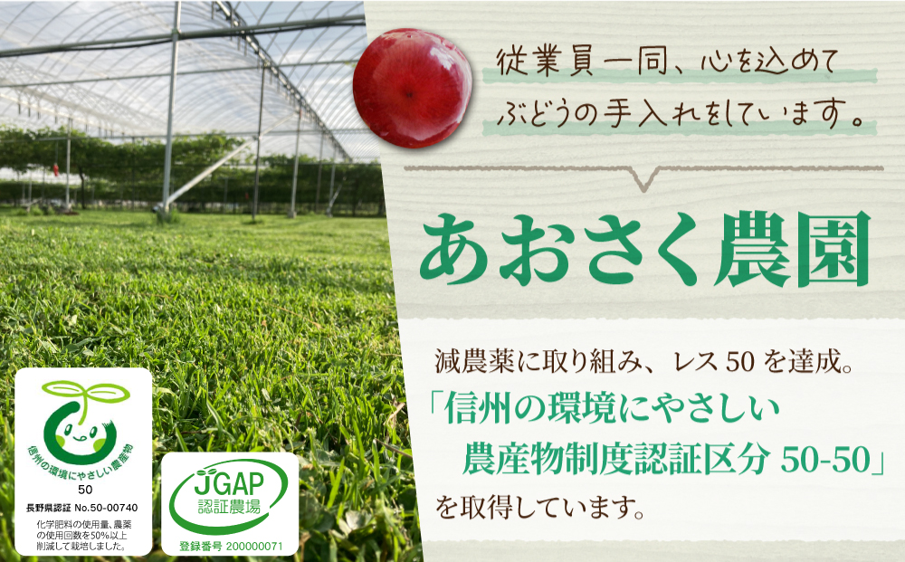 【あおさく農園】皮ごと食べられるクイーンセブン2～3房（約1kg）