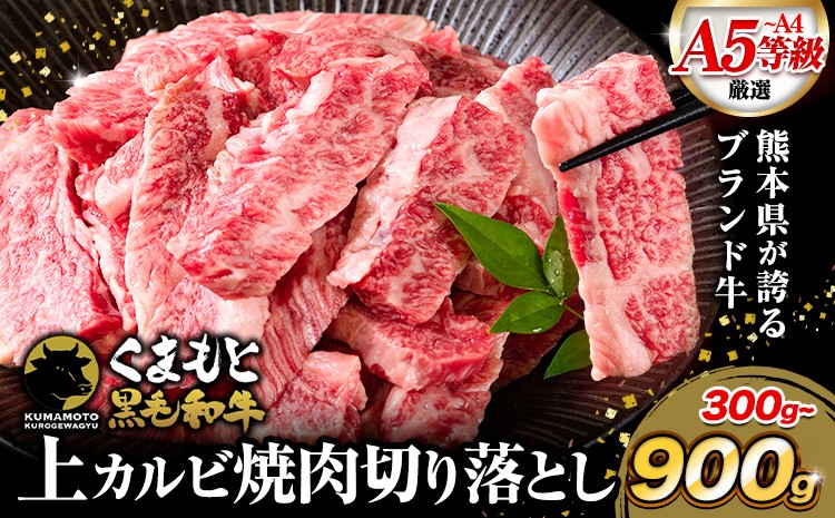 
                  くまもと黒毛和牛 上 カルビ 焼肉 切り落とし 300g 600g 900g《30日以内に出荷予定(土日祝除く)》熊本県 南関町 上カルビ 焼肉用 黒毛和牛 焼肉 肉 お肉 和牛 A5 A4 300g 小分け
                