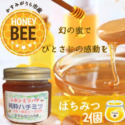 ふるさと納税 かすみがうら市 かすみがうら市産『日本みつばち』の純粋はちみつ 150g×2個