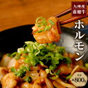 【ふるさと納税】嘉穂牛 ホルモン 合計約800g 約400g×2 牛肉 福岡県産 九州産 国産 冷凍 送料無料