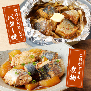 缶詰 サバ缶（味噌）12缶セット 缶詰 鯖 さば【B2-110】
