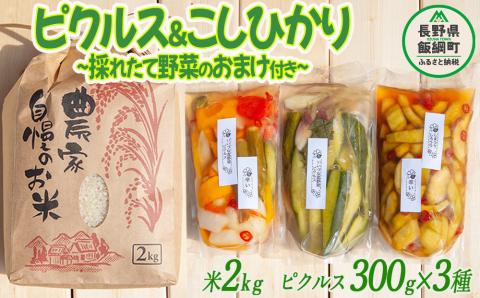 ピクルス 信州 飯綱町産の野菜で作った ピクルス ( 300g × 3袋 ) ＆ はぜかけ米のコシヒカリ ( 2kg ) 季節の野菜つき！ 沖縄県配送不可 いいづなピクルスの会 飯綱町 [1200]