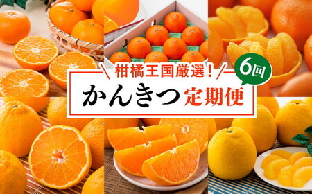 【定期便】【愛媛県共通返礼品】愛媛のかんきつ定期便（全6回）（日の丸みかん・紅まどんな・伊予柑・不知火・せとか・河内晩柑) ｜ みかん 蜜柑 日の丸みかん 紅まどんな 伊予柑 不知火 デコポン せとか ※2025年11月下旬～2026年4月下旬頃に毎月1回発送