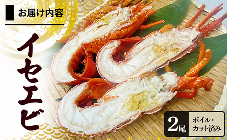 ボイル いせえび 2尾 カット済み 淡路島由良産 エビ カット 魚介類 海鮮 兵庫県 洲本市 淡路島