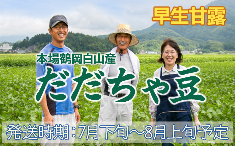 
                  【令和9年産先行予約】本場鶴岡市白山産 冨樫藤左エ門のだだちゃ豆(早生甘露) 1.2kg (300g×4袋)　K-933 | 枝豆 朝採り 茶豆 無農薬 特産品 名産品
                