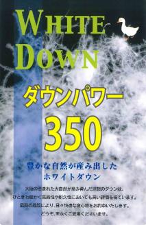 【数量限定・訳あり】羽毛ふとん　ダブル　ホワイトダウン８５％使用　【柄お任せ】