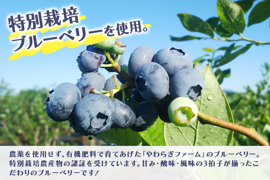 濃縮100％ブルーベリードリンク