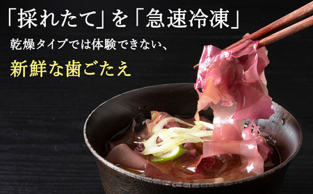 【稚内ブランド認定品】稚内産　天然銀杏草100g×3袋(急速生冷凍)【配送不可地域：離島】【1105455】