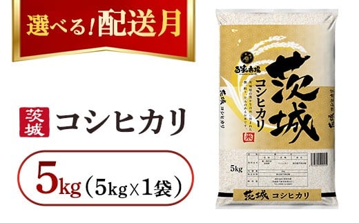 【発送月が選べる】令和7年産　こしひかり 5kg（5kg×1袋）【2026年2月発送】｜ お米・コシヒカリ・精米