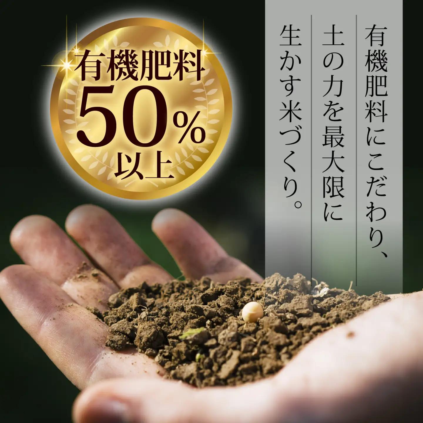 【令和7年産】にじのきらめき  白米 10kg  | お米 お米
