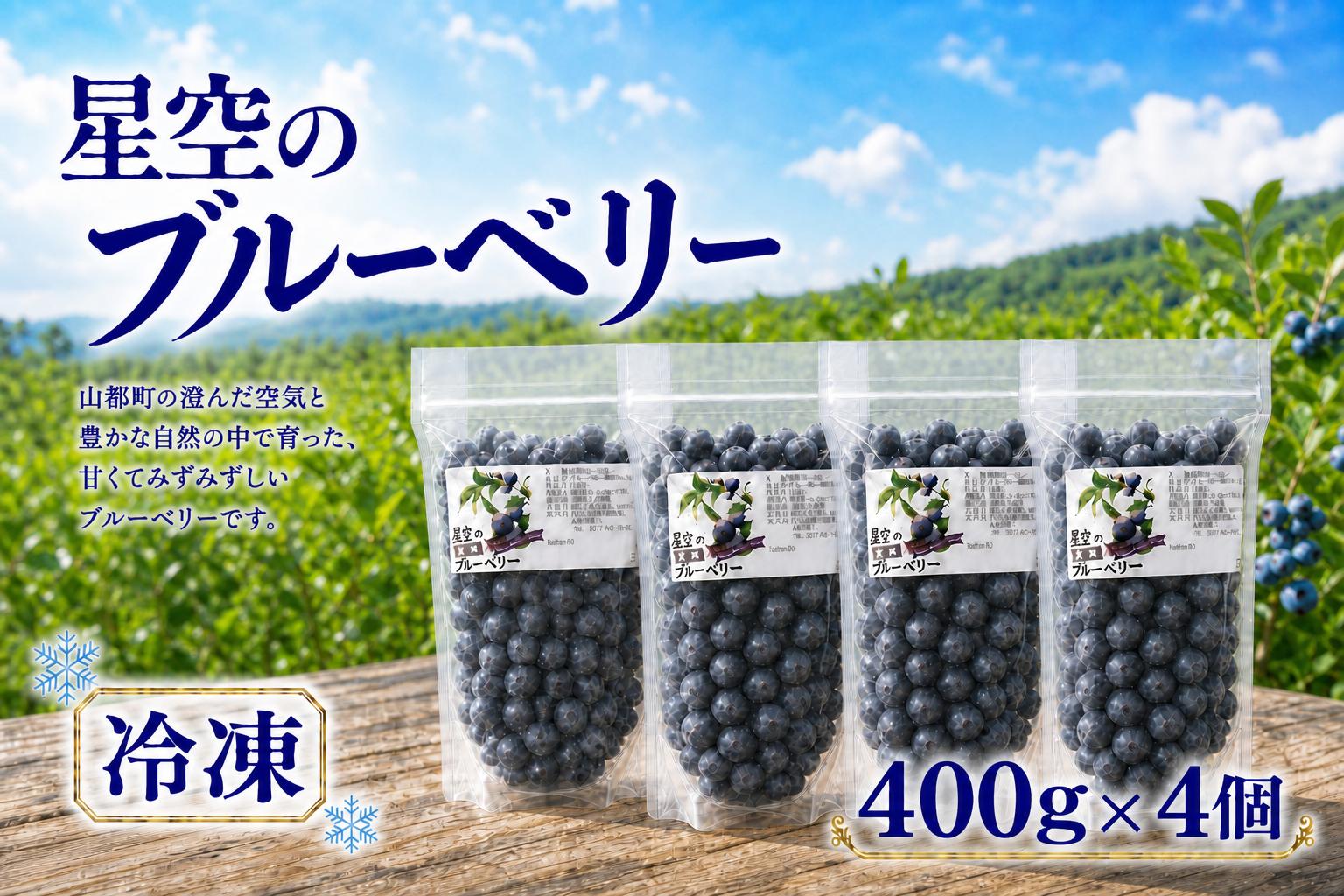 冷凍ブルーベリー（400g×4個）