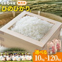 【ふるさと納税】【令和6年産 予約受付】無洗米 岡山県産 ひのひかり 笠岡産 選べる 収穫時期 内容量 回数 10kg 20kg 30kg 60kg 90kg 120kg《収穫時期が選べる》 奥山営農 太陽の恵み O-2_10k