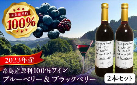 2023年産 糸島産ブルーベリー・ブラックベリーワイン 720ml×2種セット 糸島市 / HYM FARM ワイン ブルーベリー  [AHM002]