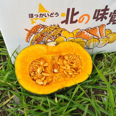 【ふるさと納税】2025年　富良野産　くりゆたか　かぼちゃ　10kg【1425899】