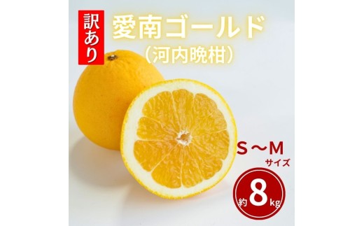 訳あり  愛南ゴールド S～Mサイズ 約8kg 河内晩柑 柑橘 フルーツ 果物 蜜柑 みかん くだもの 家庭用 傷 不揃い  サイズミックス かわち ばんかん 和製 グレープフルーツ デザート甘い ジューシー 特産品 国産 農園 直送 愛媛県 愛南町 和家農園