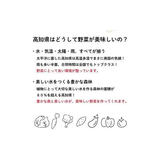 【 野菜定期便 】 旬の野菜セット 野菜定期便 6回 8品程度 セット