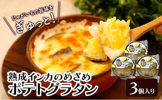 甘みギュッ！とろける「熟成インカのめざめのポテトグラタン」200g×3個入り（冷凍）【 グラタン 惣菜 おかず 野菜 じゃがいも インカのめざめ いも 芋 冷凍 簡単調理 北海道 十勝 幕別 】 [№5749-1683]