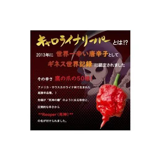 大月限定デザインの激辛一味、激辛七味。2016年ギネス認定世界一辛い唐辛子キャロライナ・リーパー使用