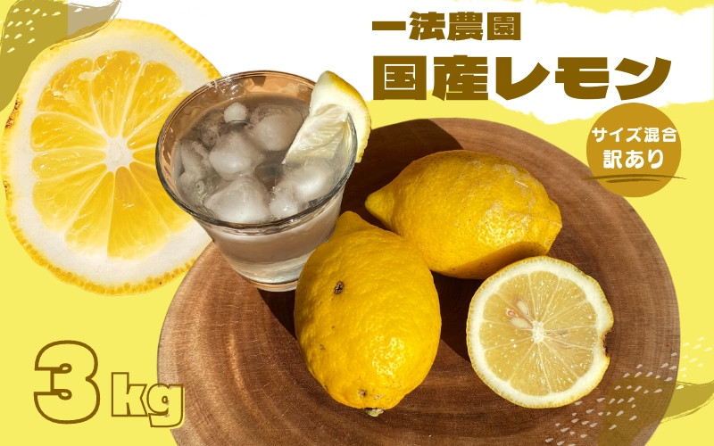 
            一法農園の 国産レモン サイズ混合 3kg(15個前後) 訳あり ご家庭用【12月中旬～3月下旬までに順次発送】 / れもん レモン 檸檬 蜜柑 フルーツ 果物
          