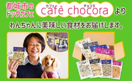 手づくり☆わんご飯『うまうまセット』_12-J501_(都城市) 犬用 手づくりご飯 ぶり大根 馬肉ッパ 牛しぐれ 豚肉ポトフ ドッグフード ペットフード