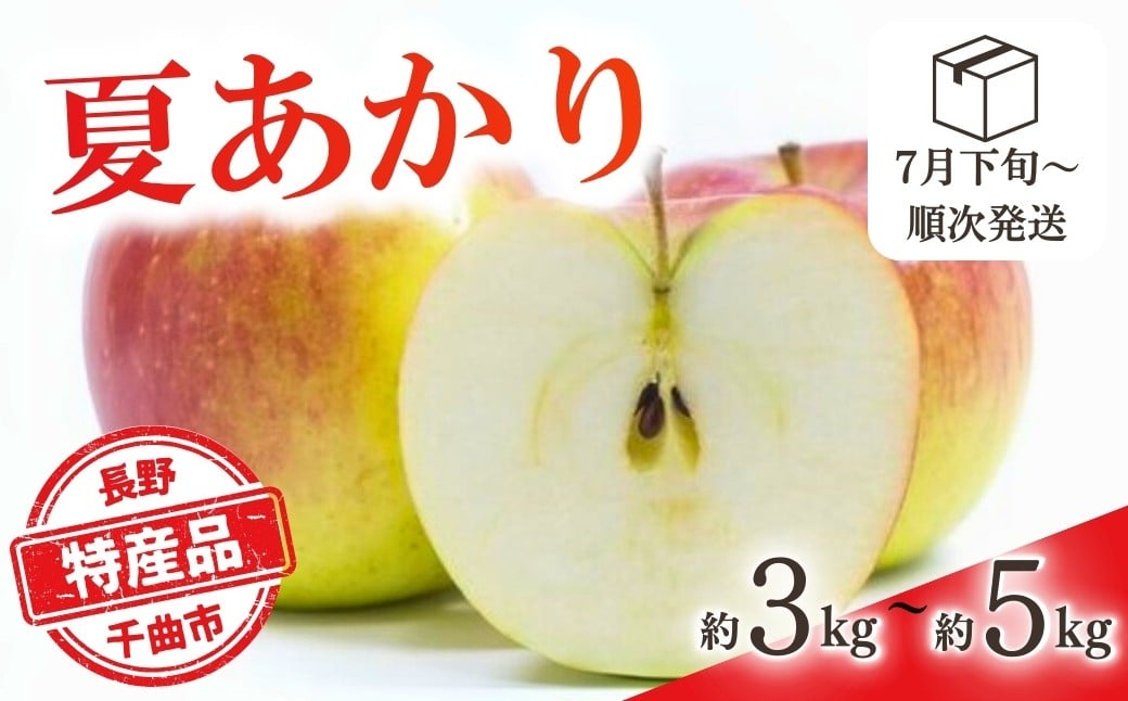 
                  【2026年先行予約】りんご 夏あかり(長野県オリジナル品種)  約3kg / 5kg | りんご 林檎 リンゴ 信州りんご 長野県 千曲市
                