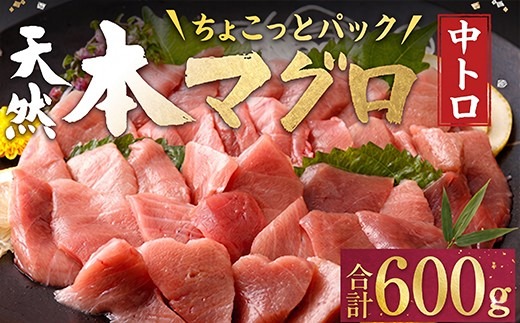 天然本マグロ 中とろ 切落し お手軽 ちょこっとパック 60g×10パック 合計600g 食べきりサイズ 本マグロ 中とろ 切り落とし マグロ 鮪 クロマグロ 海産物 魚 刺身 さしみ 漬丼 漬け丼 お手軽 おかず 海鮮丼 魚介類 魚介 海鮮 小分け 簡単解凍 調理 惣菜 訳あり 規格外 父の日 高知県 不揃い 中トロ 冷凍 高知県 室戸市