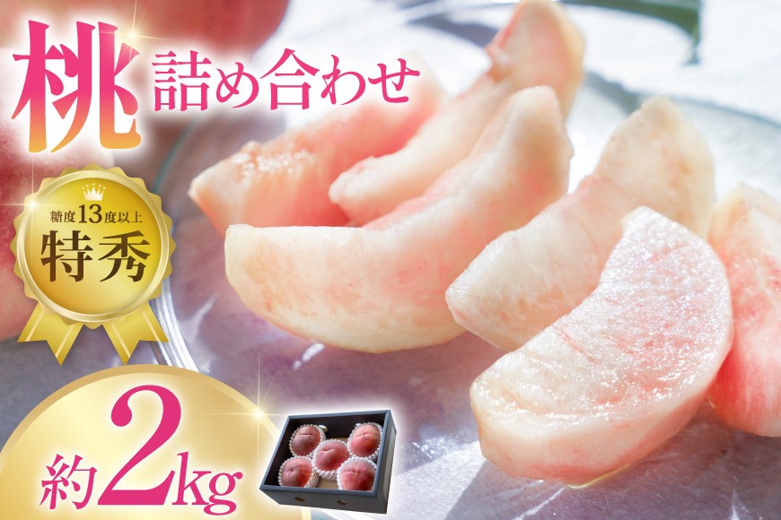 
                  【2026年発送】 桃 山梨 約 2kg 特秀 もも モモ 韮崎市産 旬の桃 詰め合わせ 果物 くだもの フルーツ 2キロ 期間限定 季節限定 冷蔵 産地直送 山梨県産 4～6玉 糖度センサー [梨北農業協同組合 山梨県 韮崎市 20743006]
                